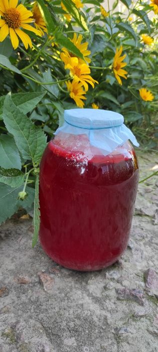 Домашній яблучний оцет. Домашний яблочный уксус.домашній оцет.ягідний.