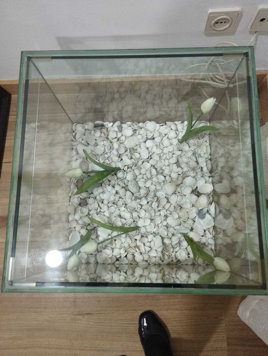 Mesa / caixa de vidro quadrada 50 cm , altura 40 cm