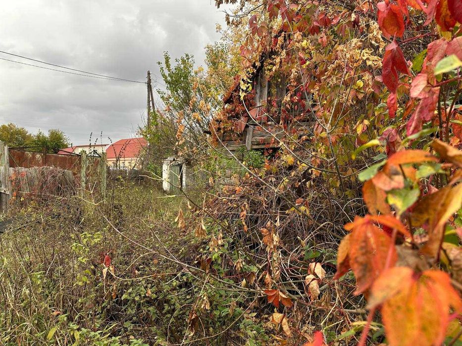 Продаж 25 соток з електрикою вул. Шевченка