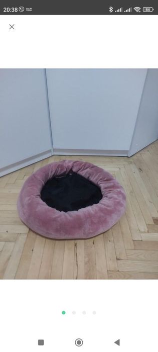 Место для собачки красивое