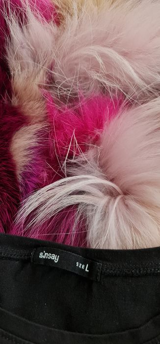 Sinsay L kotek tshirt czarny