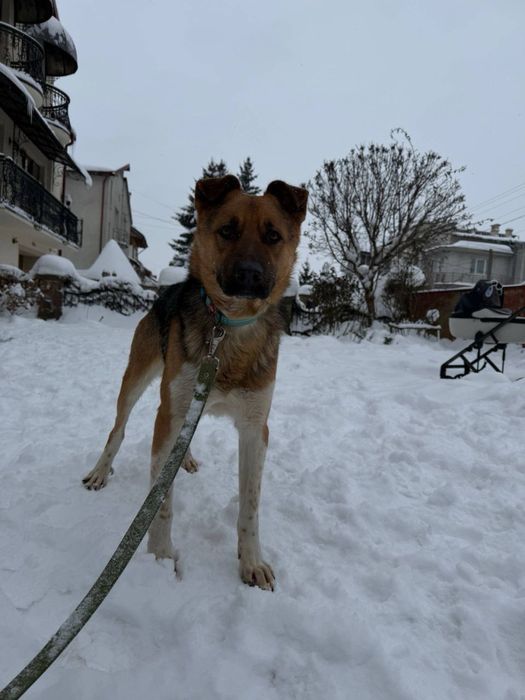 Шукаємо сімʼю для хорошого хлопчика