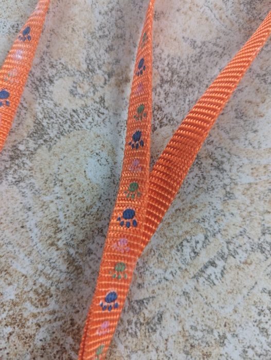 Smycz dla kotka 85 cm, Hilton