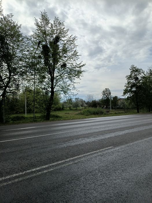 Продаю будинок який знаходиться в 10 км від міста Луцька