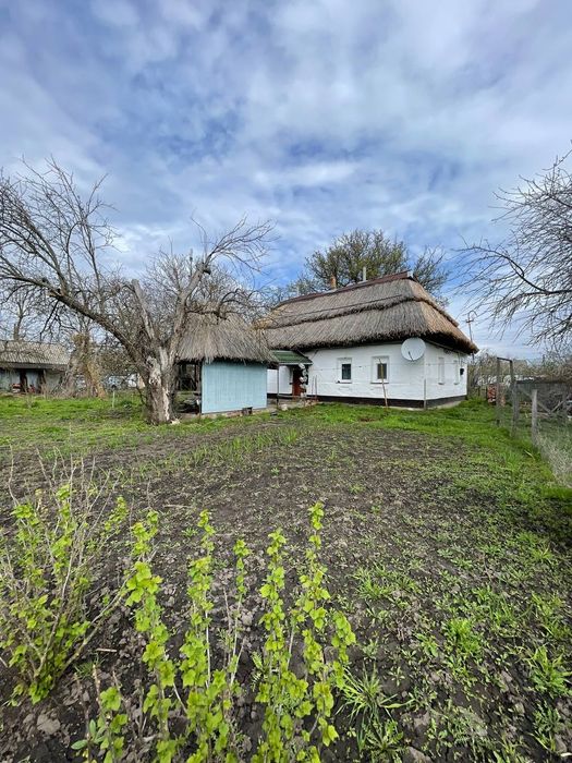 Будинок хата в селі