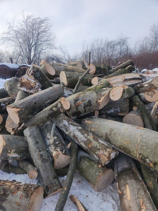 Дрова твердої породи Дуб Граб Ясен Граб