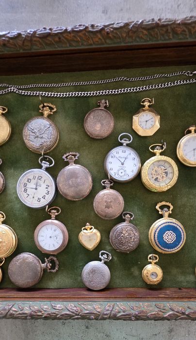 Coleção de relógios de bolso com expositor de madeira