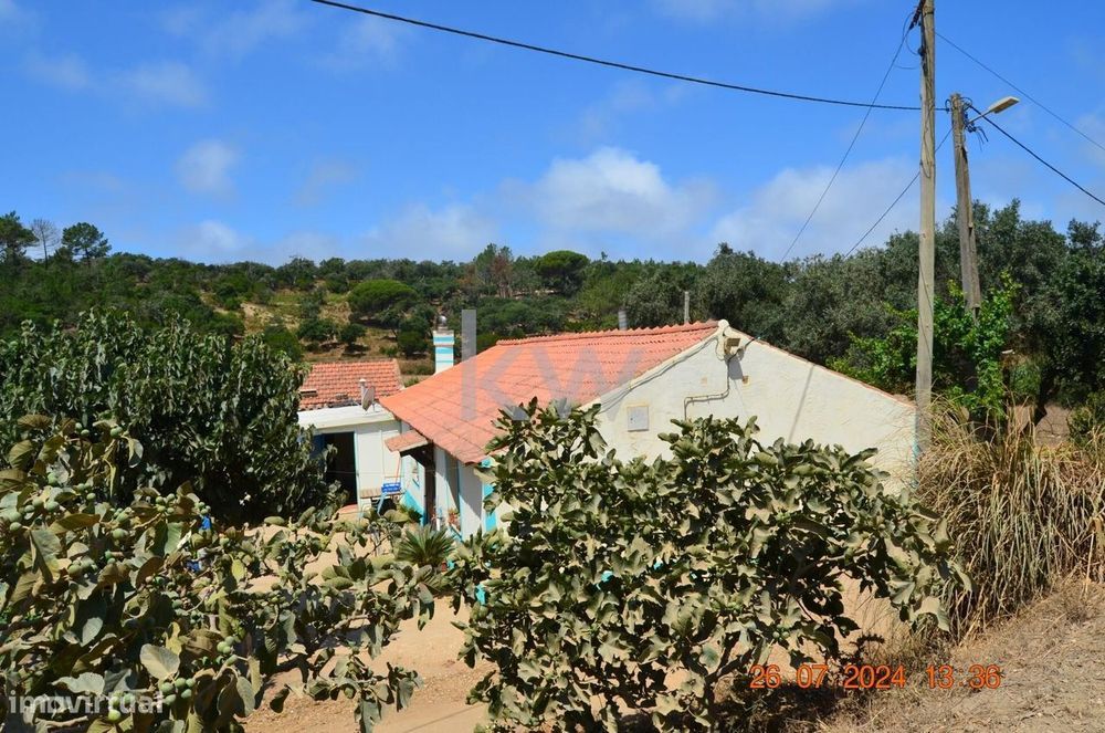 Typically Portuguese countryside house with 20 hectares – Pedralva, Vila