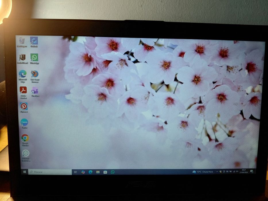 asus pro windows 8