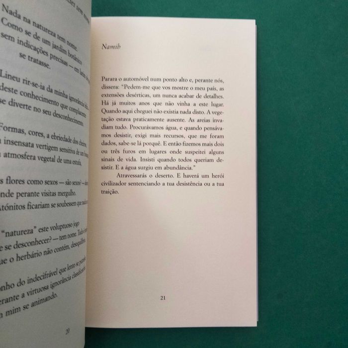 Angst - Luís Quintais