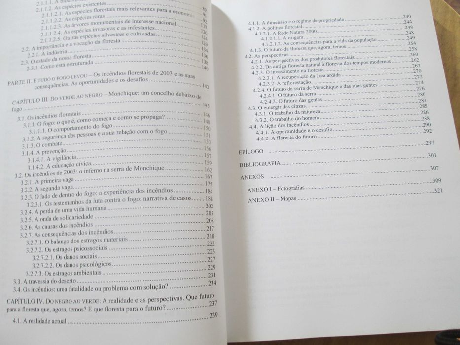 Pulmão do Sul a Verde e a Fogo, de Ana Maria Nunes