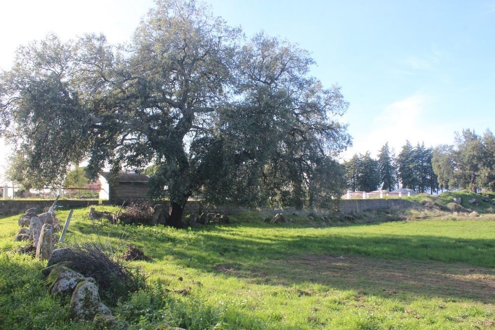 Terreno Aldeia Santa Margarida