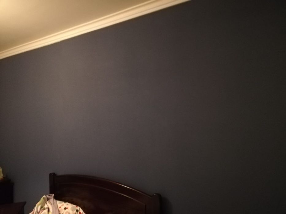 Aplicador Papel de Parede