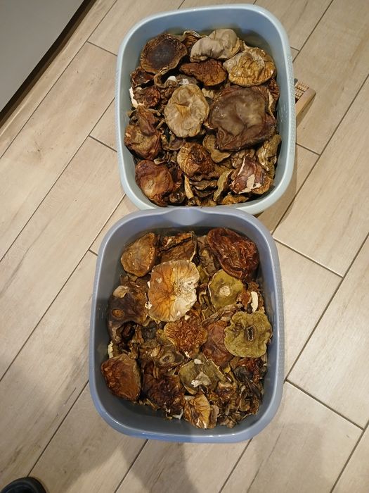 Grzyby  Prawdziwki suszone