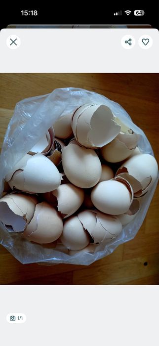 2   kg skorup po   jajkach