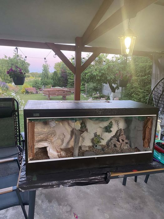 terrarium dla gada
