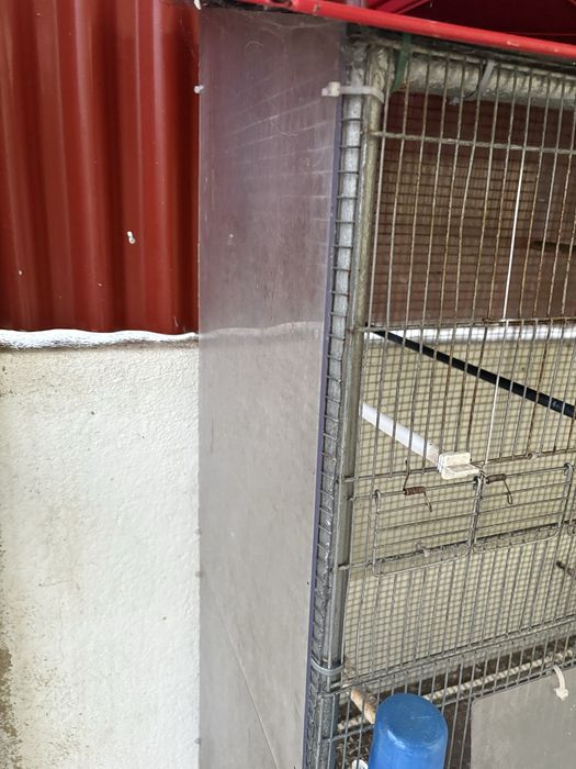 Viveiro para pássaros