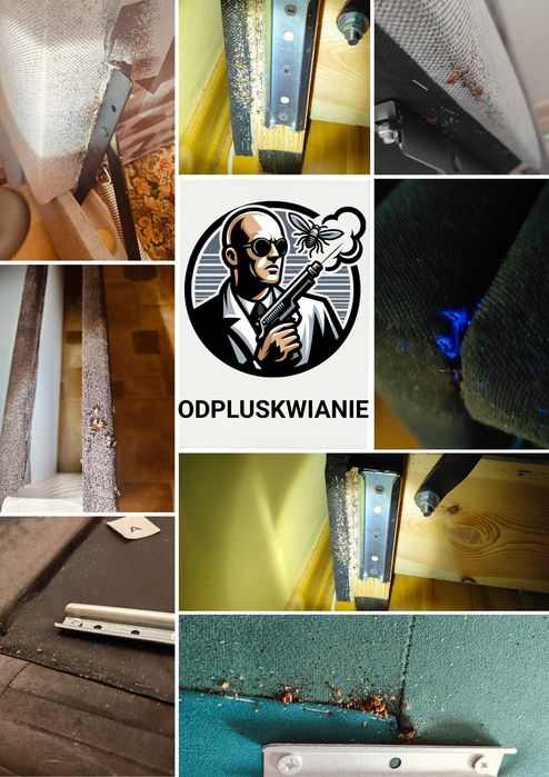 DDD usuwanie zwalczanie myszy szczurów pluskwy dezynsekcja deratyzacja
