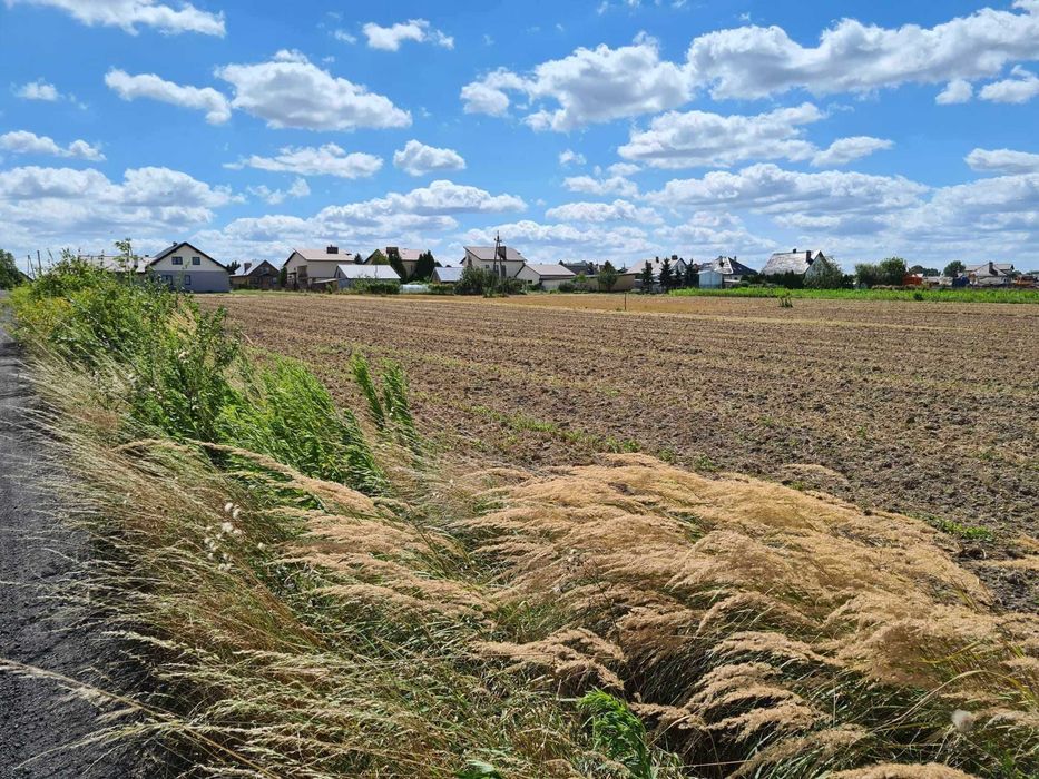 Działki  Lisia Góra- bezpośrednio