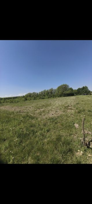 Земельна ділянка під забудову в селі Ставчани