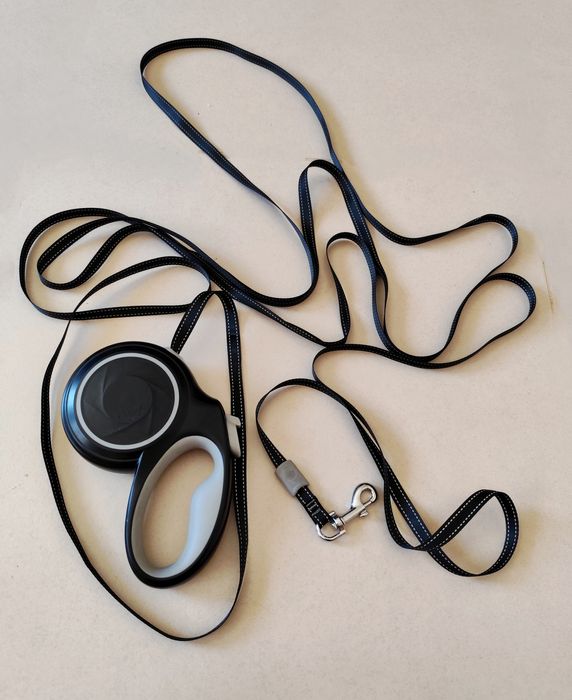 Trela Extensível para Cão de Pequeno Porte (5 metros)