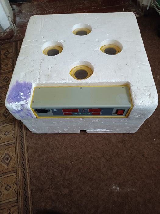 Інкубатор для яєць