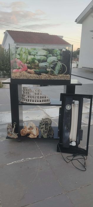 Aquário + Móvel + Acessórios
