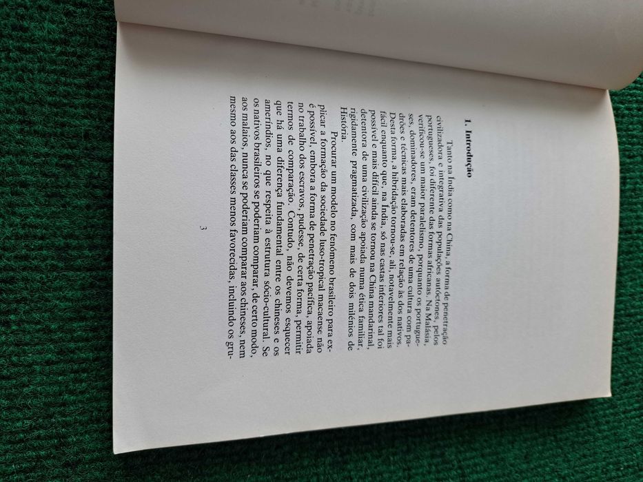 Filhos da Terra - Ana Maria Amaro