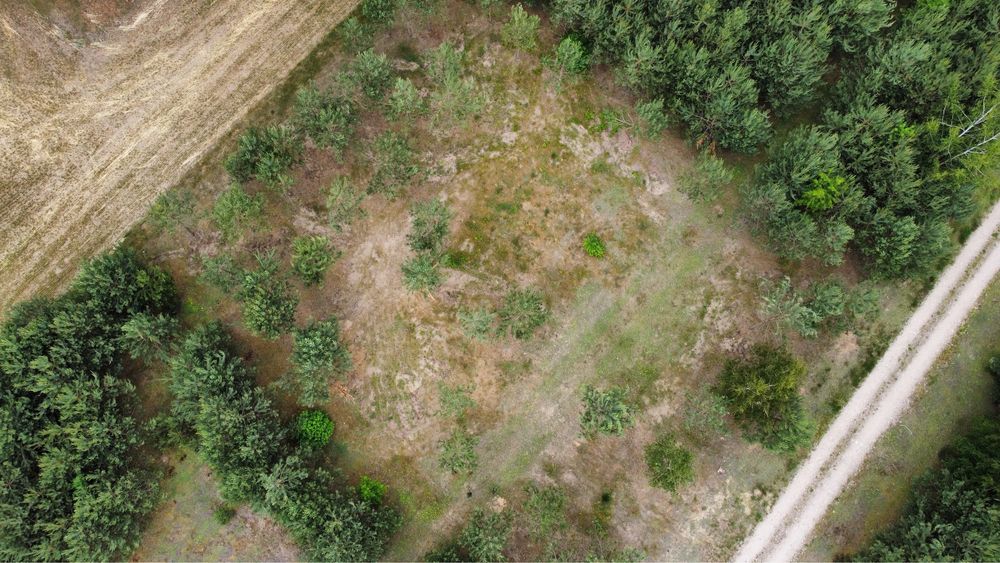 Unikalna działka budowlana 1091 m² pod Łodzią przy lesie - Widok 3