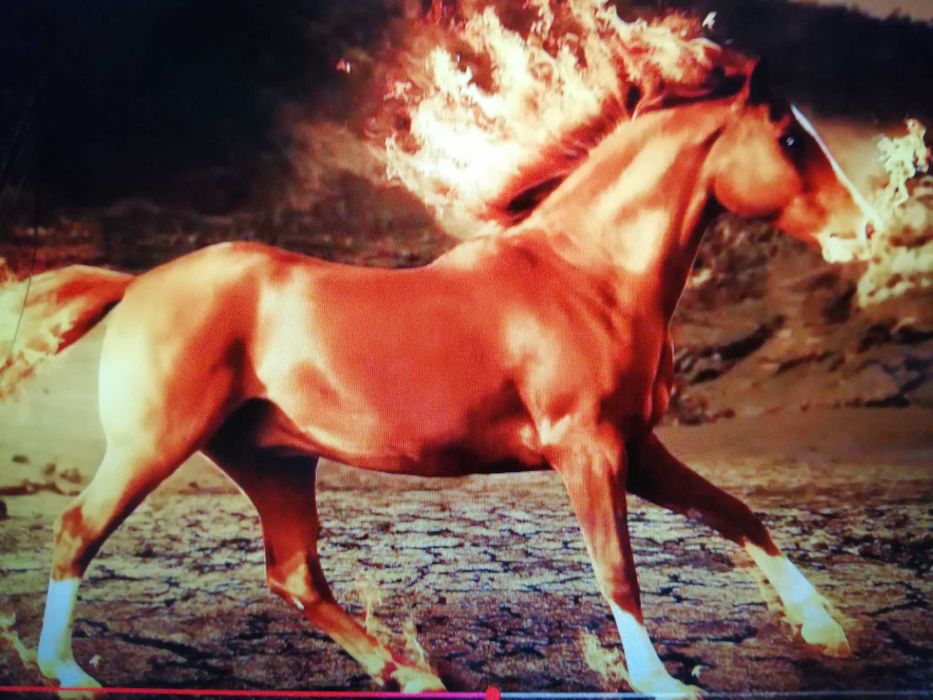 Laptop Lenovo Chromebook