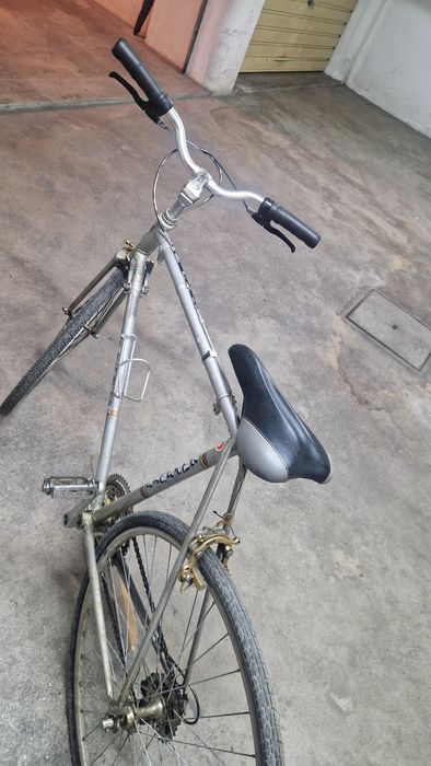 Bicicleta Pasteleira