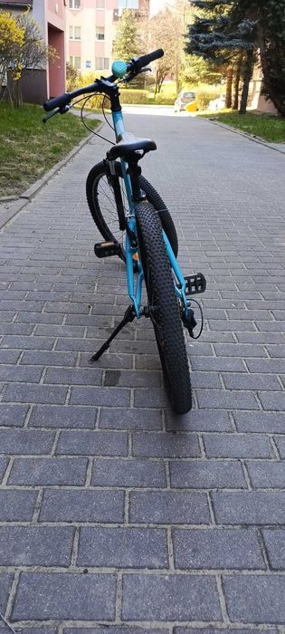 Rower LIV Enchant 24"