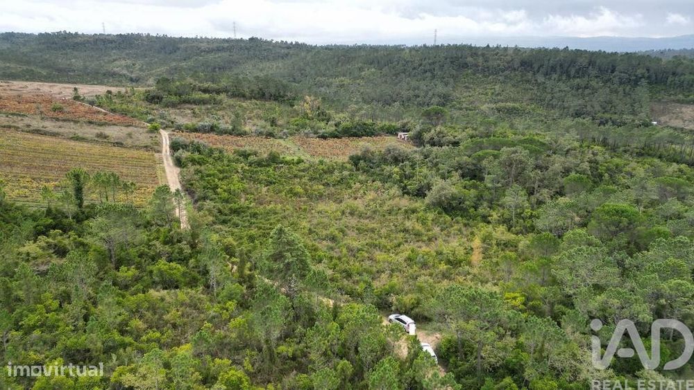 Terreno Agrícola em Condeixa-a-Velha e Condeixa-a-Nova