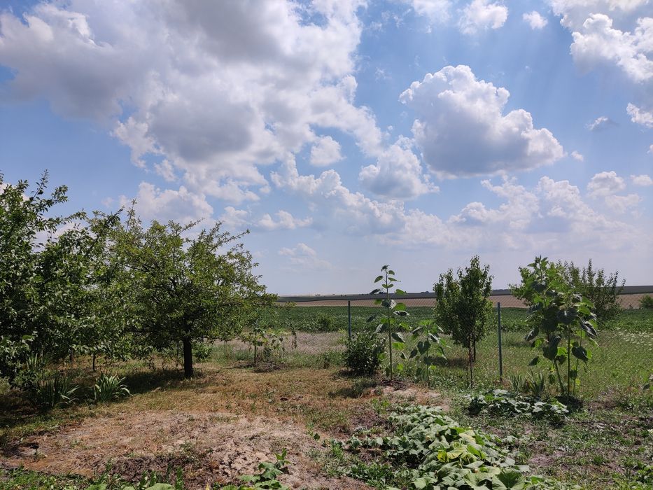 Продаж Будинку с.Трушки Київської області Білоцерківського району