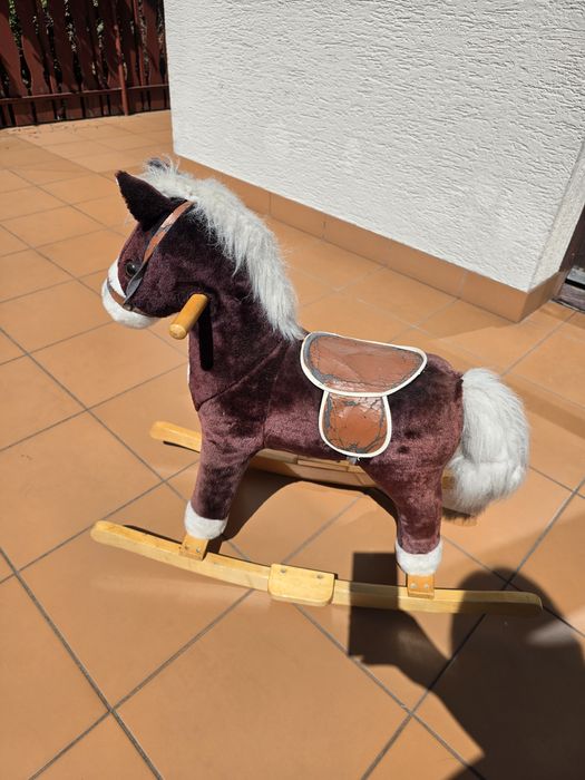 Konik na biegunach