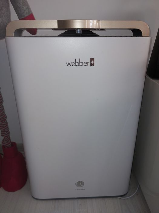 Oczyszczać powietrza webber