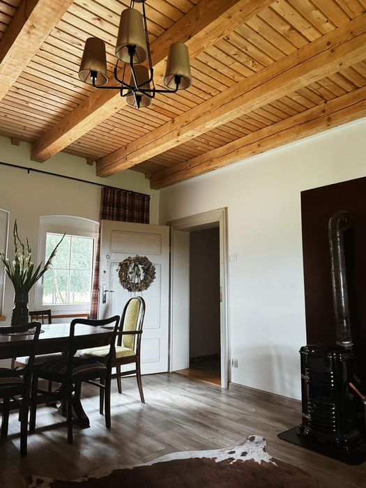 Domek wakacyjny. Dom, domek w lesie. Hetmanów koło Ostrowa Wlkp,