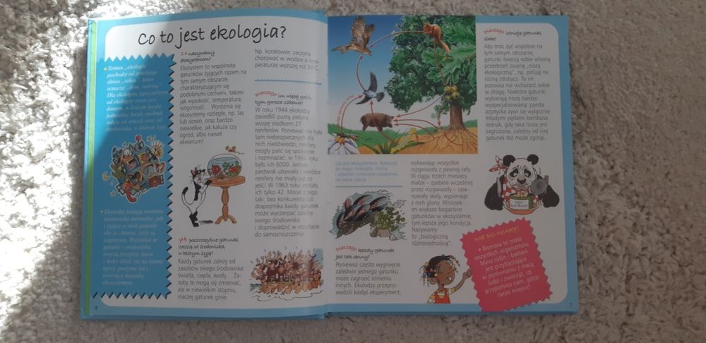 Dlaczego odpowiada w jaki sposób obrazkowa encyklopedia
