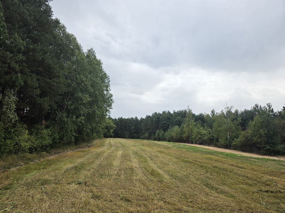 Działka inwestycyjna blisko Kielc