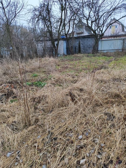 Продам дачу в кооперативі с.Чепиліївка