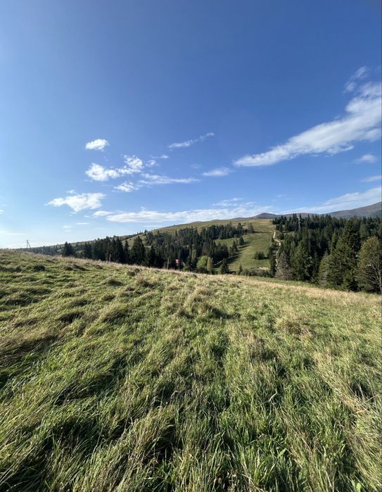 Земельна ділянка в гірськолижному селі Пилипець