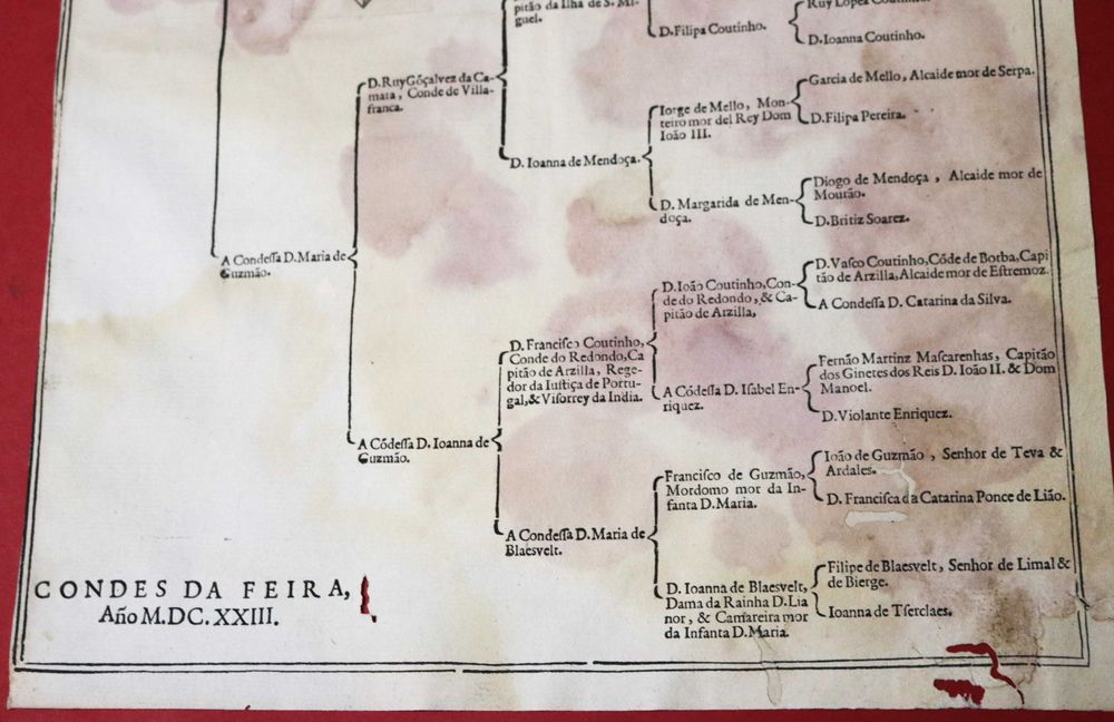 PEREIRA S Condes da FEIRA. grande árvore de costados, 1623