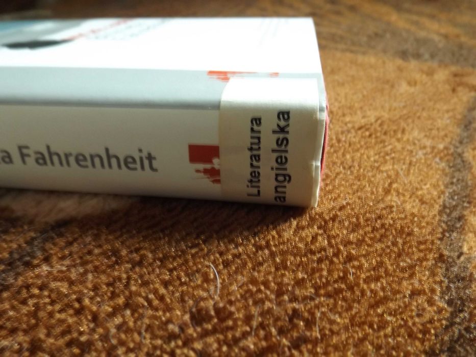 Michel Faber - Bliźnięta Fahrenheit