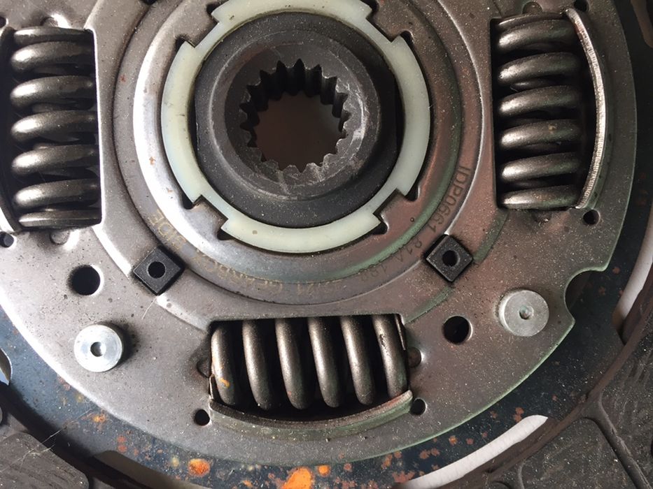 Щеплення форд