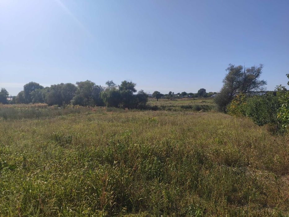 Продається господарство в центрі Котельва