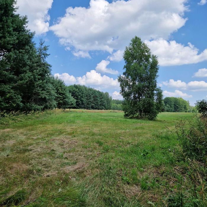 Sprzedam 2 działki budowlane przy lesie | 3000 m² | Udrzynek | asfalt