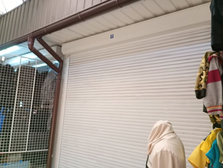 Колос,Пассаж 2 ряд место 17