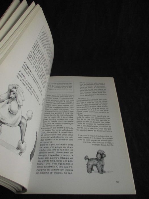 Livro O Caniche Katrin Behrend Colecção Habitat