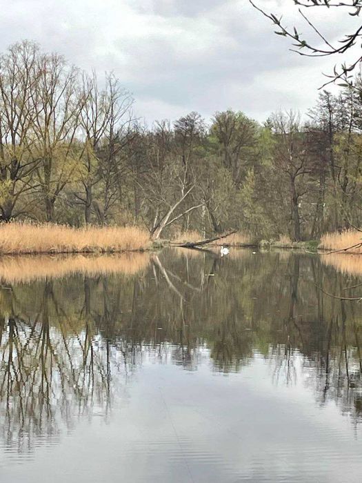 Продам ділянку з комунікаціями в с. Перегонівка, Обухівського р-ну!