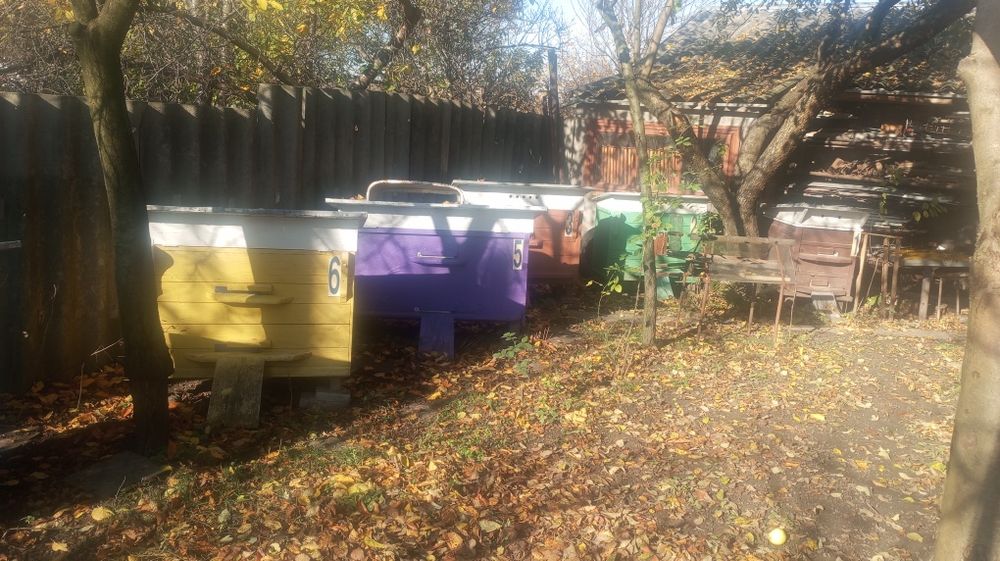 Продам вулики для бджіл